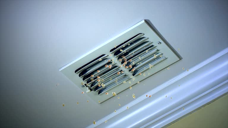 Best Air Duct Mold Removal  in Powells Crossroads, TN