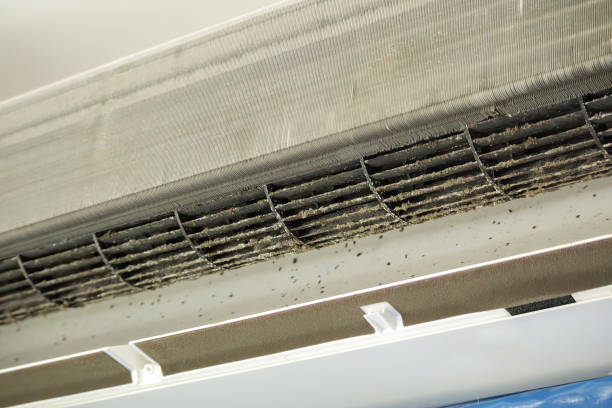 Best Affordable Duct Cleaning Services  in Powells Crossroads, TN